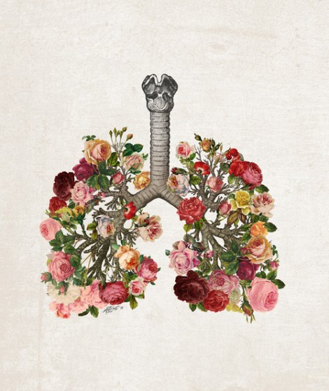 pulmones2
