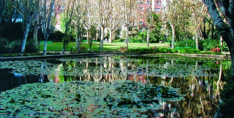 Feldenkrais en el Parque