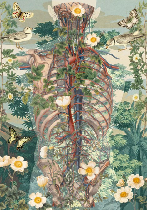 Ilustración Juan Gatti.