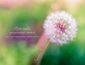 Pensamientos FeldenkraisBarcelona