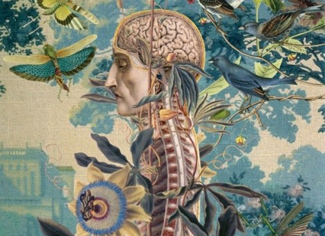 El Aprendizaje Emocional-