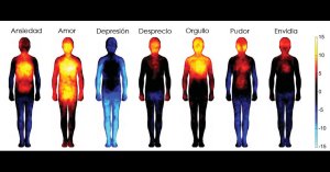 Emociones en el cuerpo