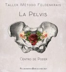 pelvis-