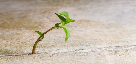 acerca-de-la-salud-por-moshe-feldenkrais