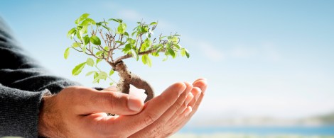 feldenkrais-y-fibromialgia