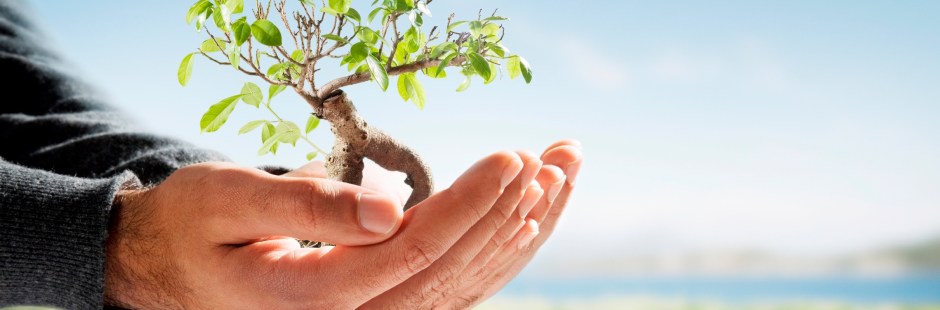 feldenkrais-y-fibromialgia